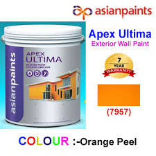 DELTA TRADERS PAYYOLI